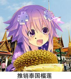 娱乐吃瓜酱大冒险,揭秘娱乐圈背后的秘密与奇闻异事