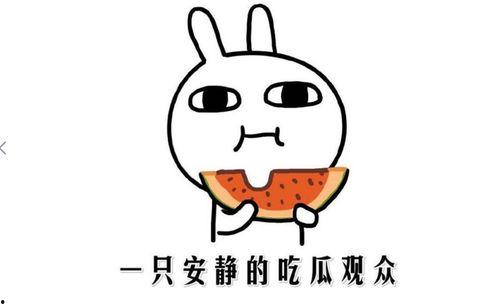 吃瓜意思
